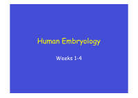 handouts1.pdf